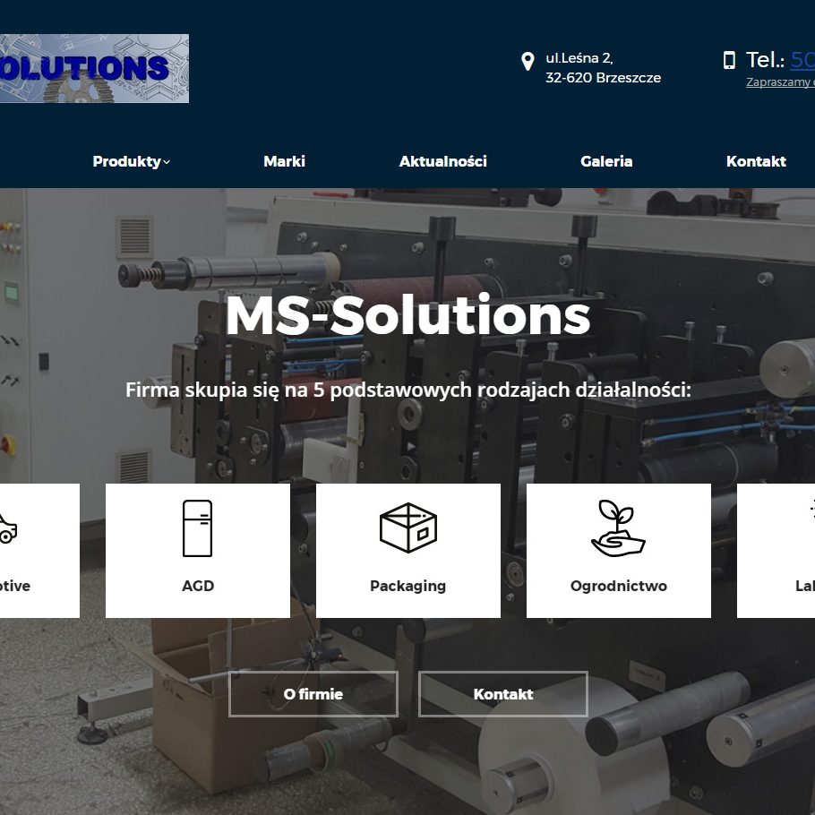 ms-solution_zrzut_strona