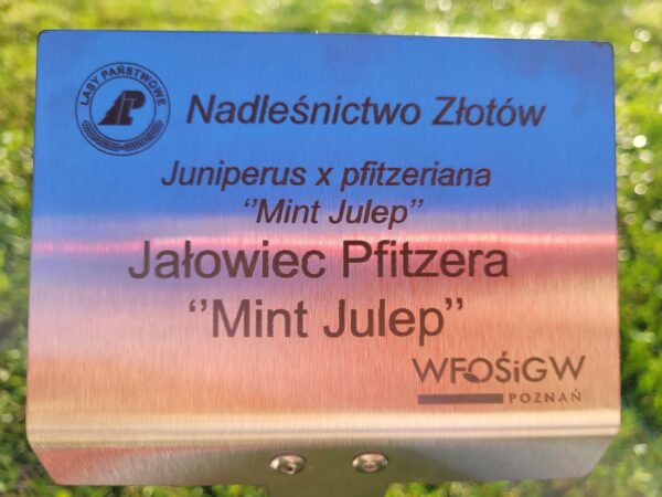 Wtykana Tabliczka Ogrodowa Nierdzewna, Duża, 10szt - 155x105x450 mm, Garden-Label.pl - obrazek 10