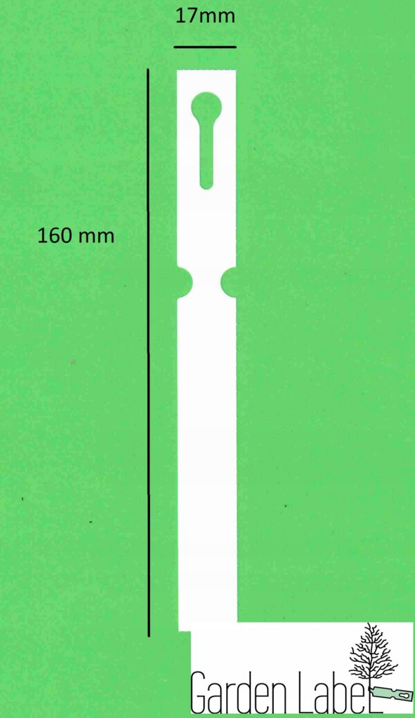 Etykiety ogrodnicze pętlowe białe 160 mm x 17 mm (100 szt.) – Identyfikacja roślin w ogrodzie - obrazek 2