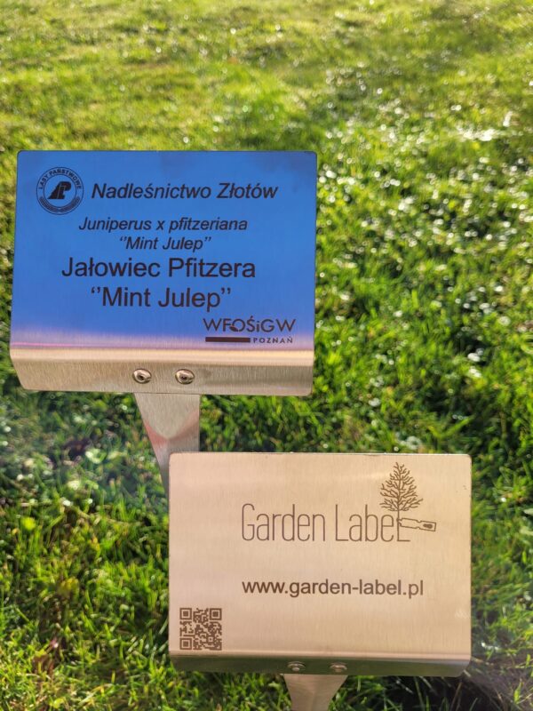 Wtykana Tabliczka Ogrodowa Nierdzewna, Duża, 10szt - 155x105x450 mm, Garden-Label.pl - obrazek 12