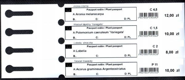 Etykiety identyfikacyjne do roślin 250x25mm, zestaw 8 sztuk – odporne na wodę i słońce, paszport roślin, etykieta pętelkowa - obrazek 15