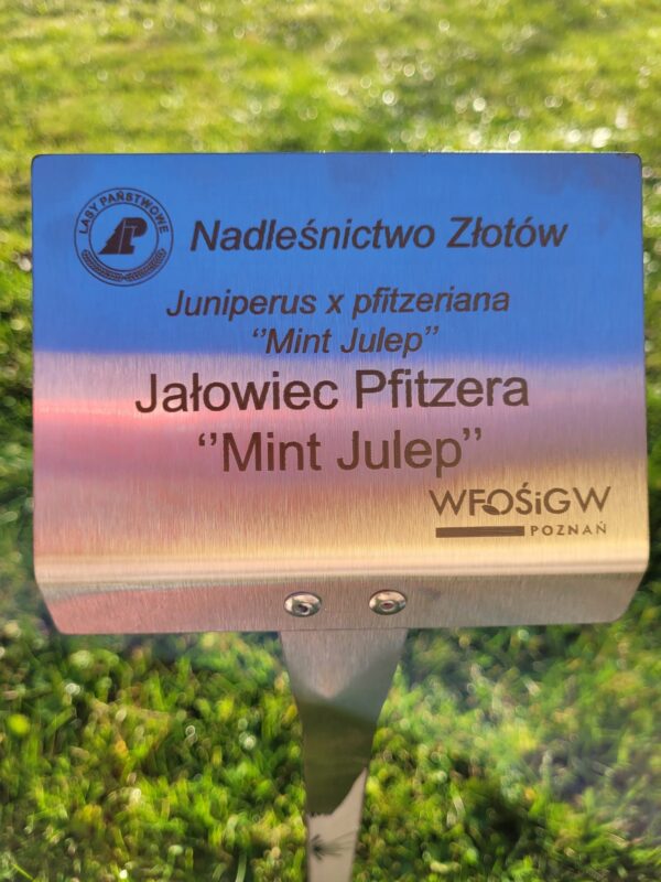 Wtykana Tabliczka Ogrodowa Nierdzewna, Duża, 10szt - 155x105x450 mm, Garden-Label.pl - obrazek 11