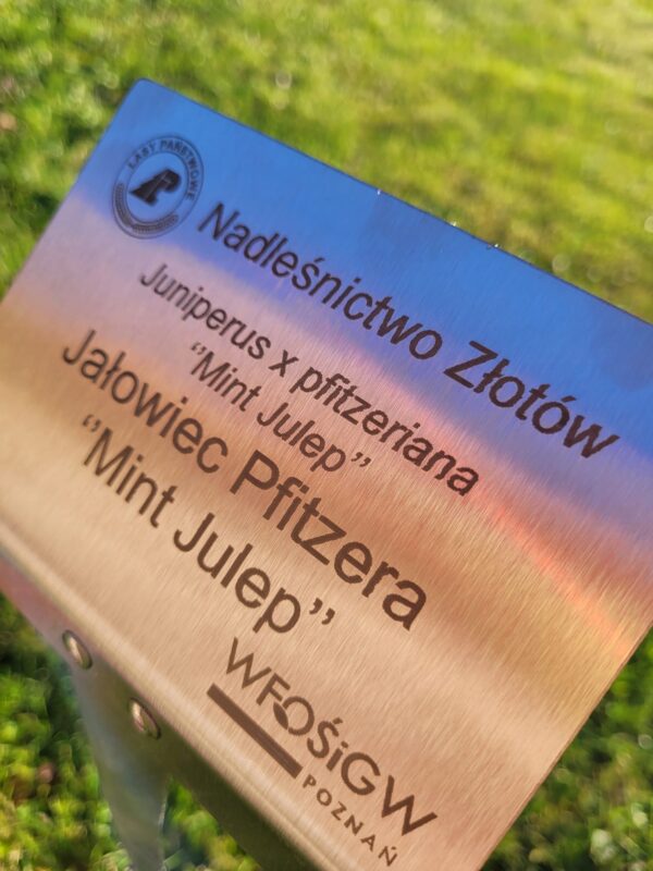 Wtykana Tabliczka Ogrodowa Nierdzewna, Duża, 10szt - 155x105x450 mm, Garden-Label.pl - obrazek 9