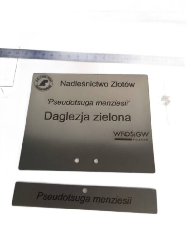 Elegancka tabliczka ogrodowa nierdzewna z grawerem, personalizowana 155x105 mm - obrazek 12