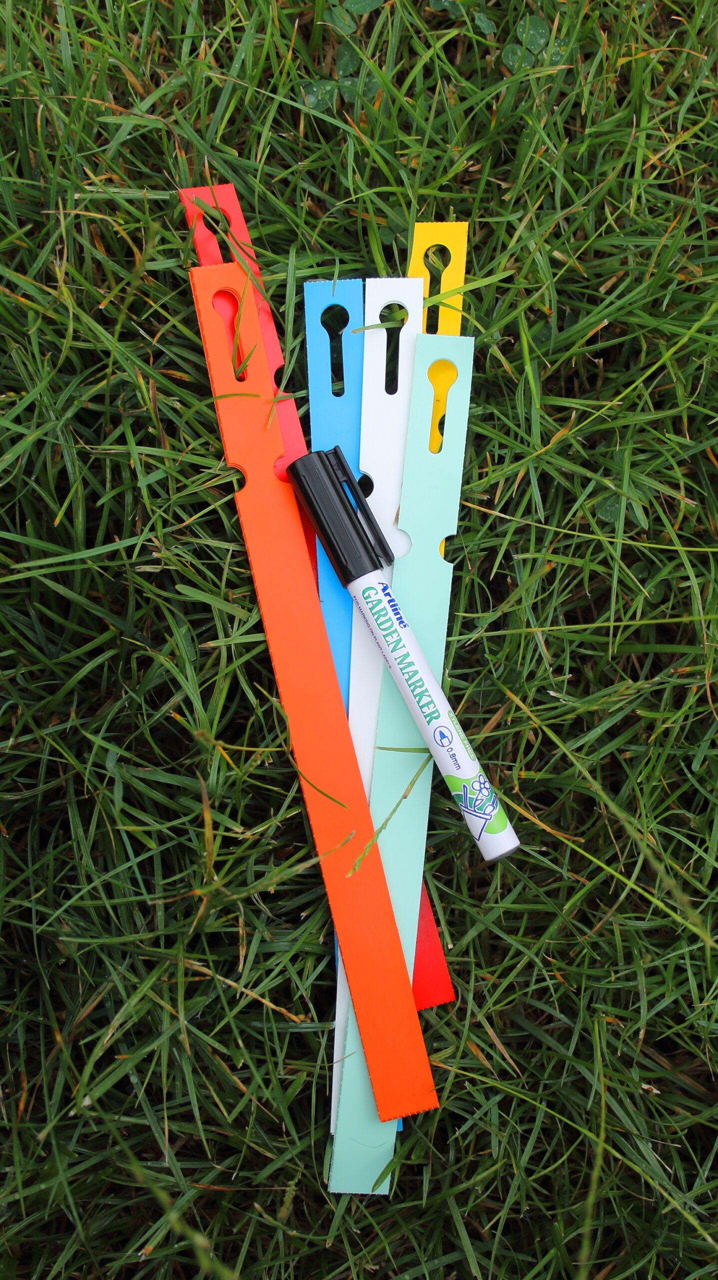 1d37eaab32f6e8bdb201e7841dc5ec94