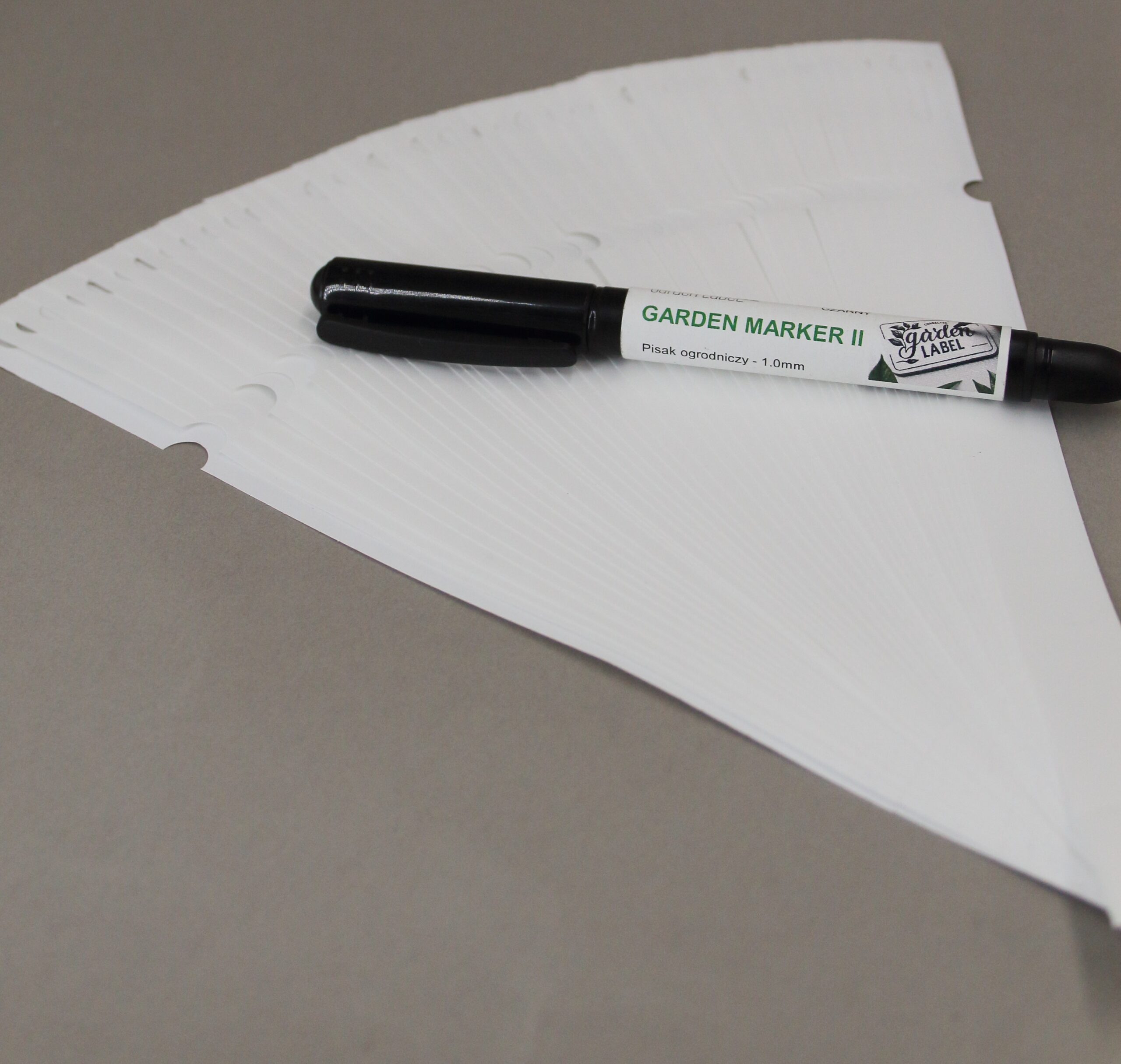 d3b311ad65302cdbf02a14251104674a