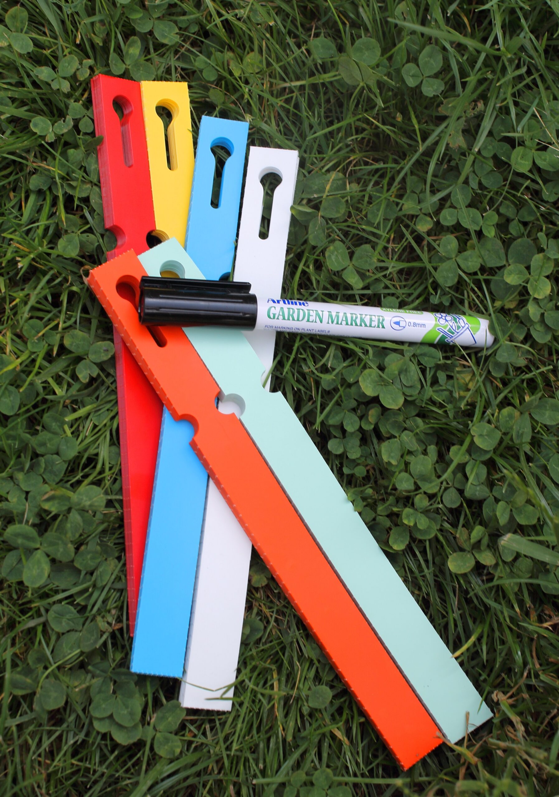 373983a8914dd23ab4549f04844b0969