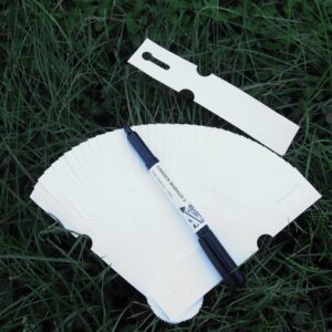 9d16fd58a1d4afcf1542506819448236