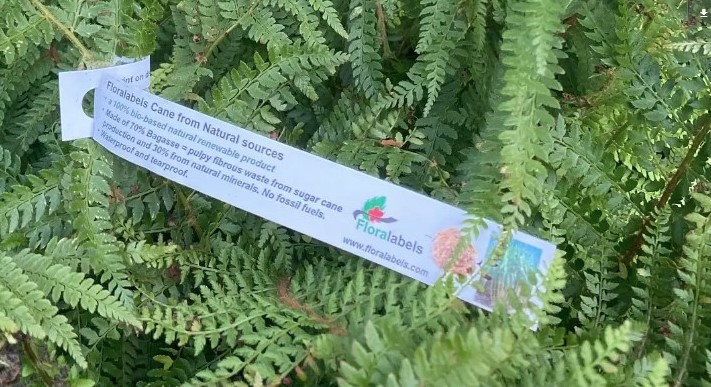 5f6f6d338060e1ef1e63be4e699b1bb5