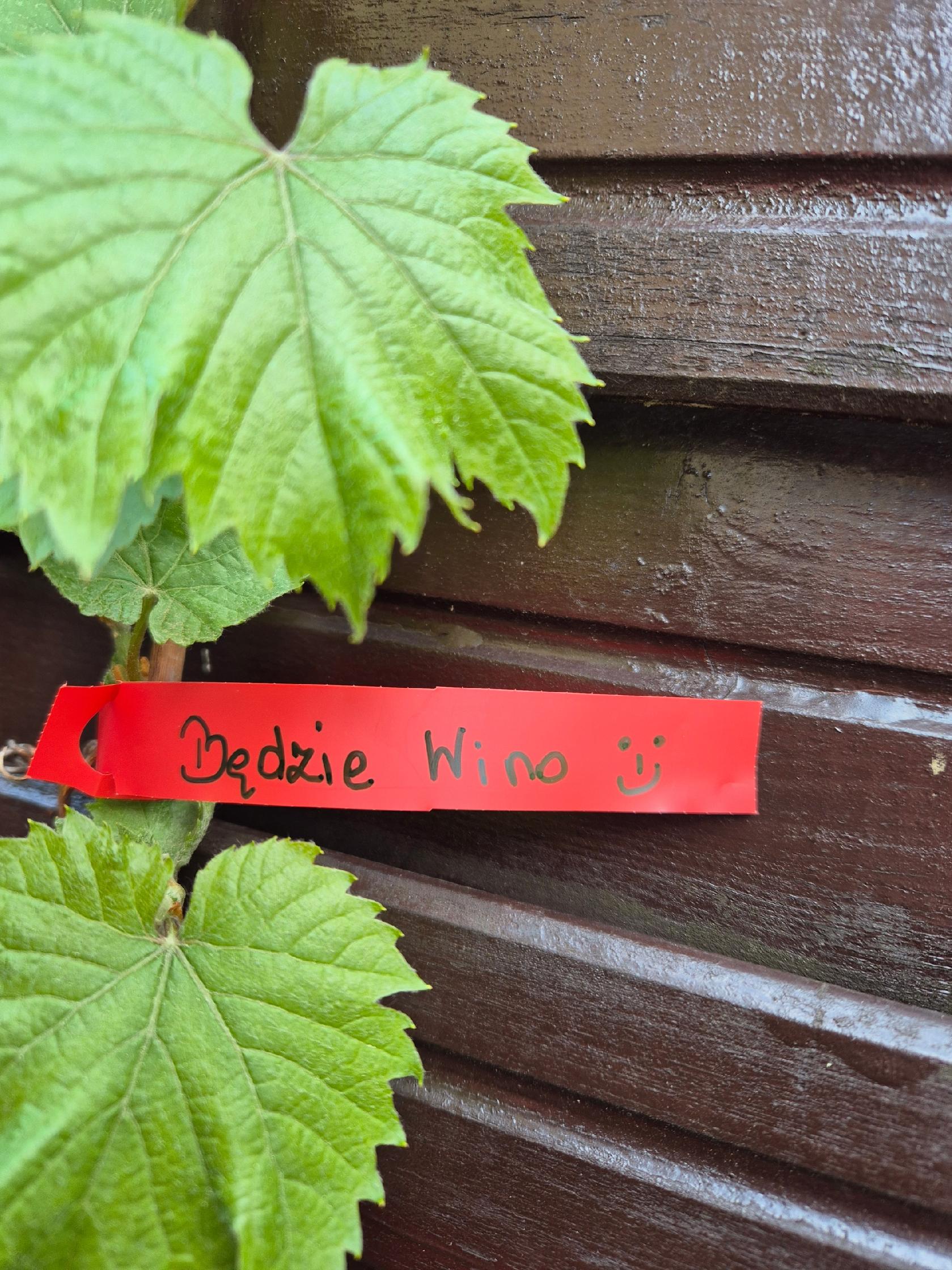 1188b4356d8a384b1db28347b08d56df