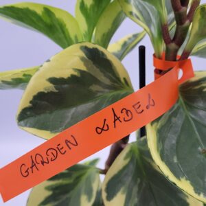 a9c02843bc67cbc51f64991e717224dd