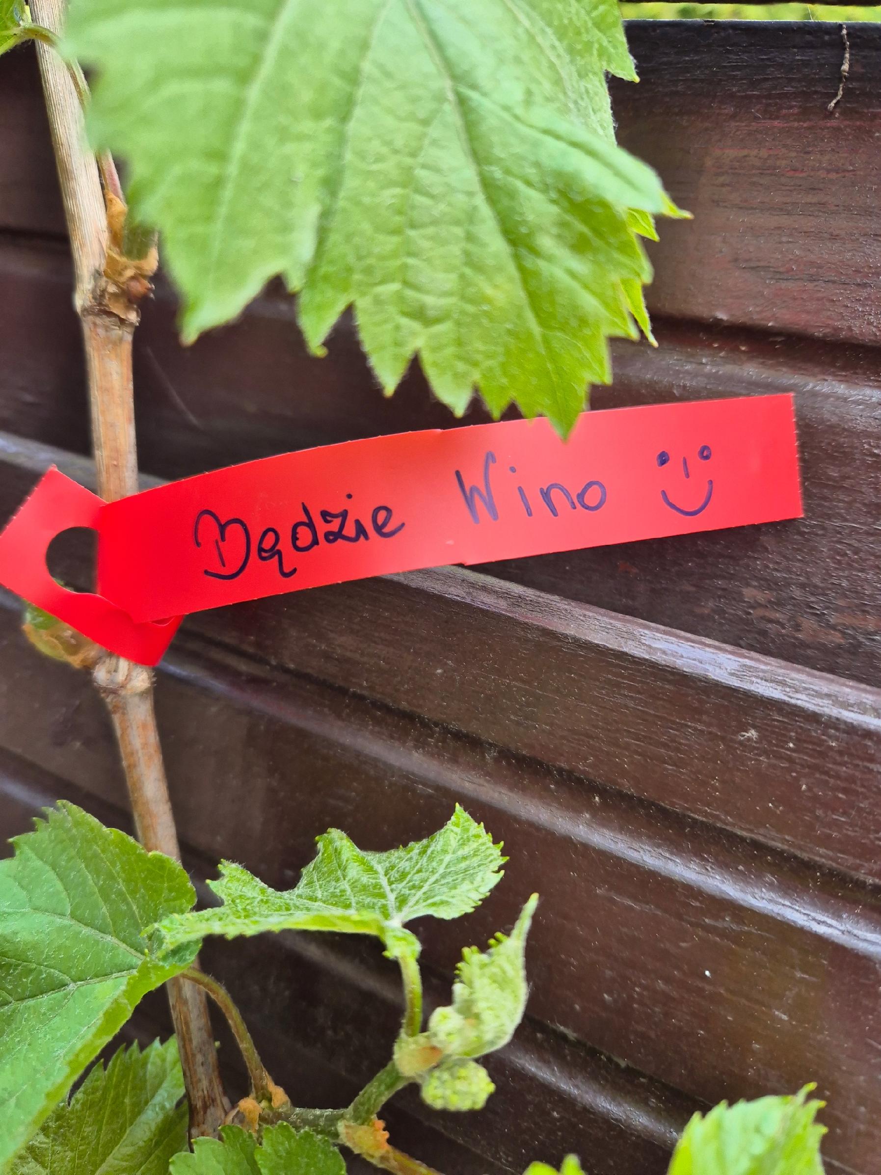 68b4da10ead3c3d77d962fbd88f0061b