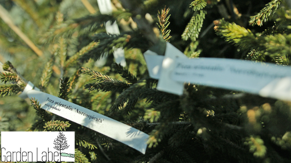 Etykiety ogrodnicze/sadownicze pętlowe NIEBIESKIE 250x25mm(25x250) 5000szt - obrazek 9