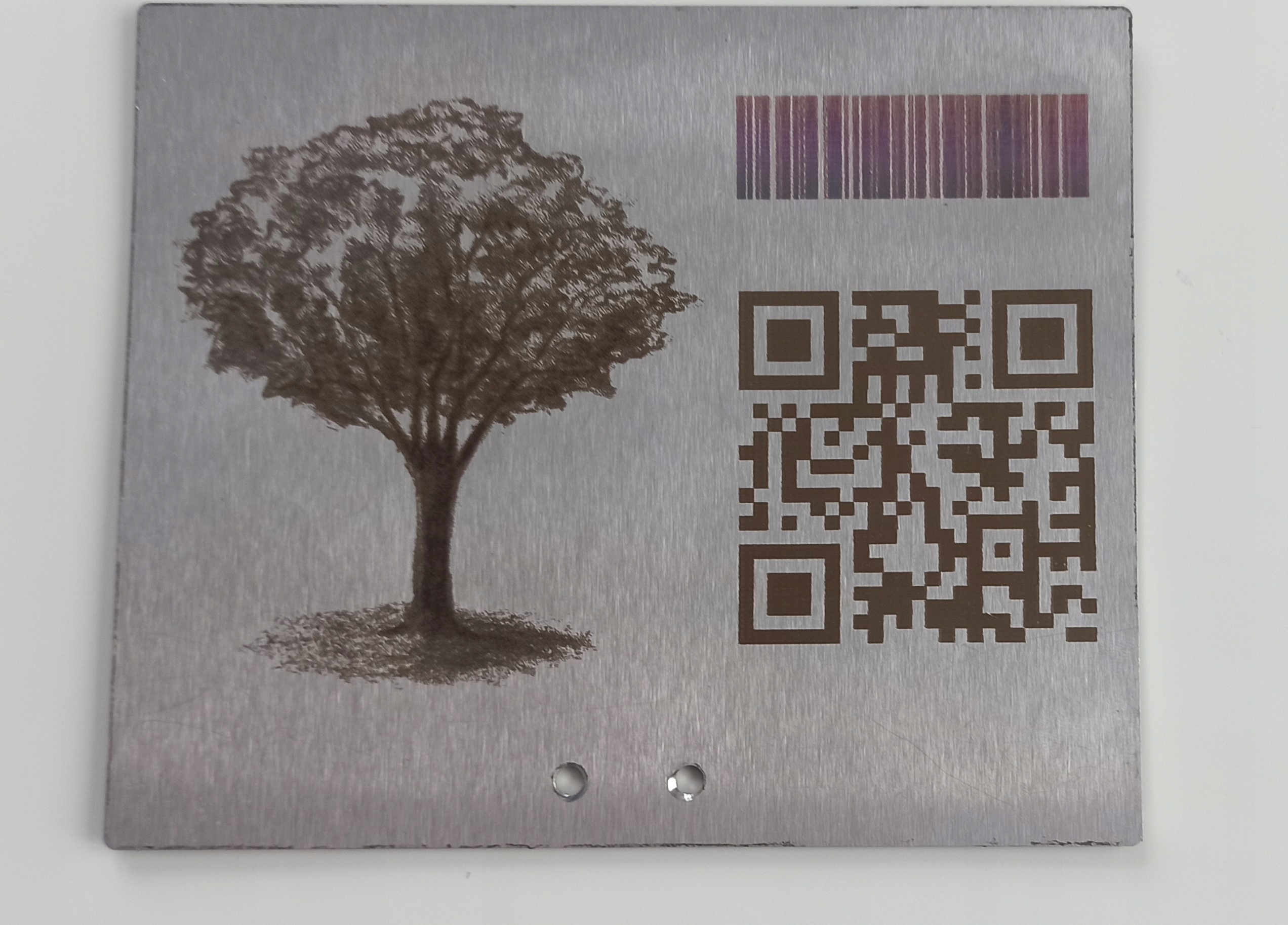 Elegancka tabliczka ogrodowa nierdzewna z grawerem, personalizowana 155x105 mm - obrazek 3