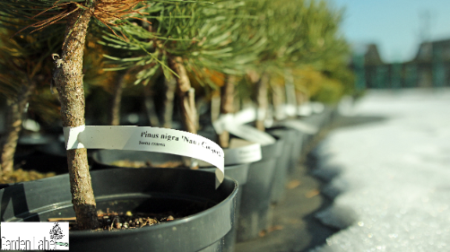 874093bd56be0ae07872bec924ef0198