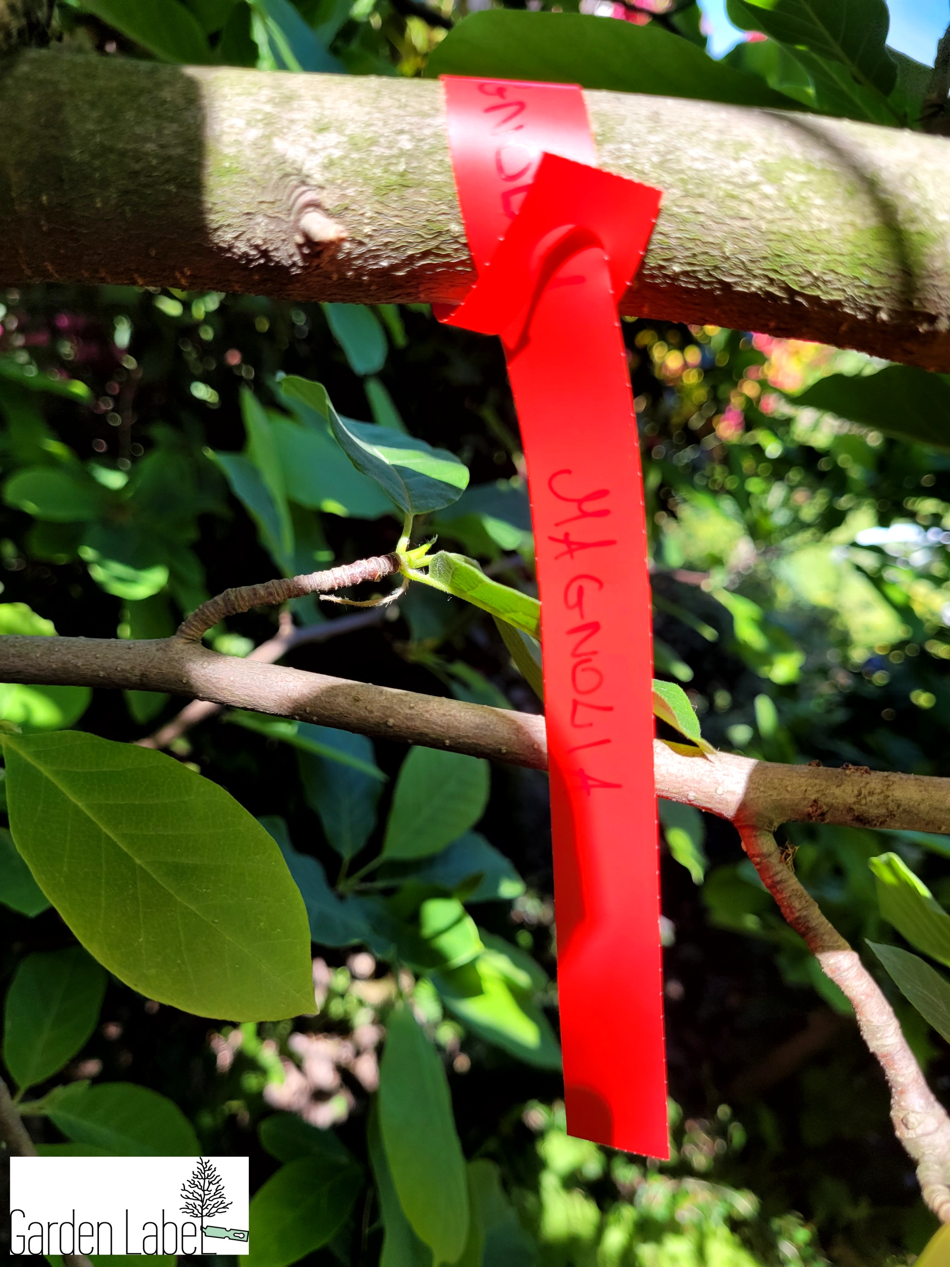 f286c48caa8ebafb82220ef6e5d2bdb1