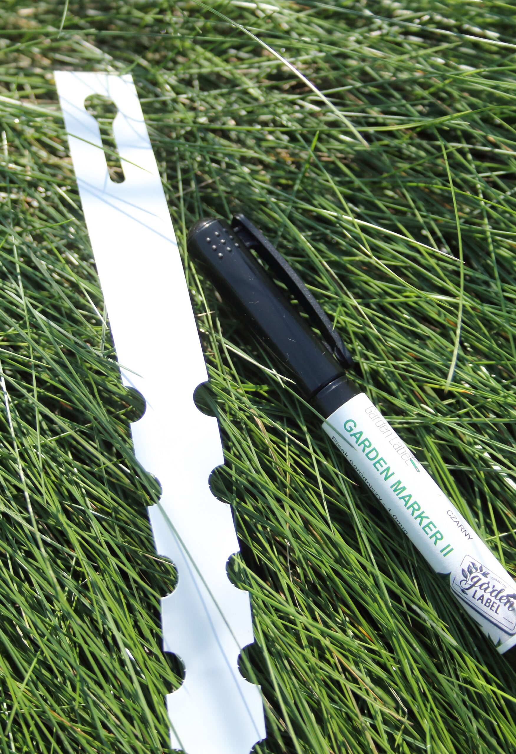 c8dba13a948c59d3807bf716d056c27d