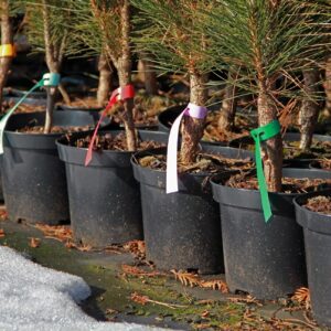 6871449b02e9657c6e02ed030d2fd088