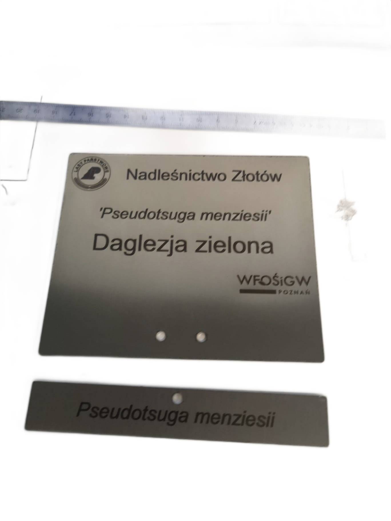 Elegancka tabliczka ogrodowa nierdzewna z grawerem, personalizowana 155x105 mm - obrazek 12