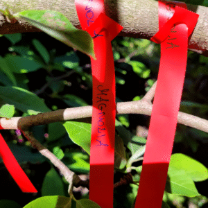 d0c896bb40ae51123200977fb01215e8