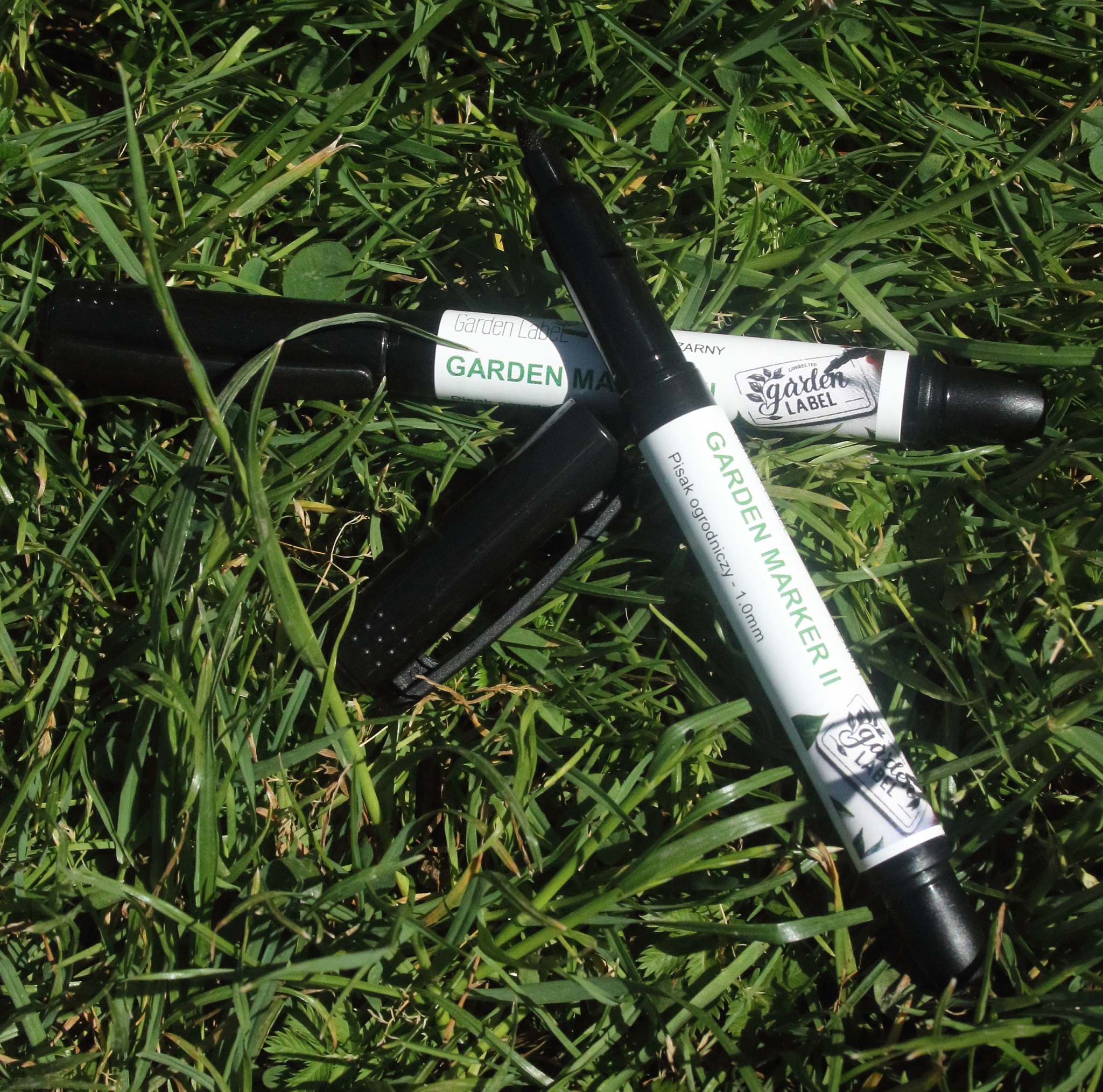 1a828cd8f12d4dce813743af96438a66