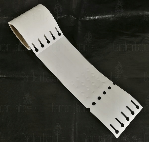 4ca511b0265b76aff4d9c75d360b2aea