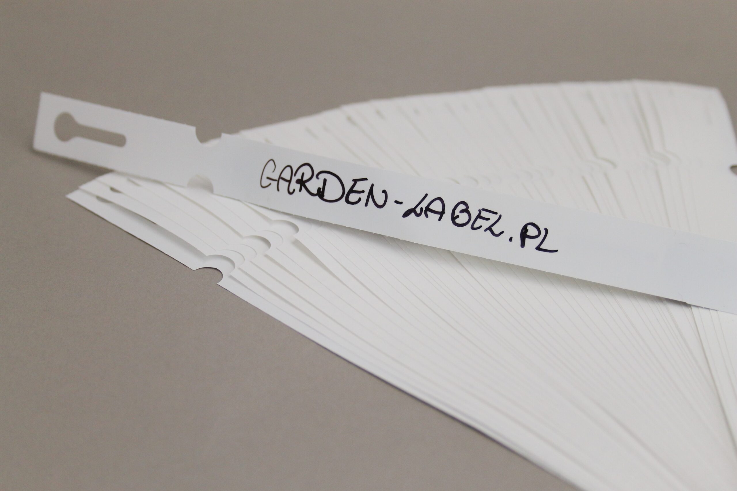 21368372cbd27d09403fabc19b63c8db