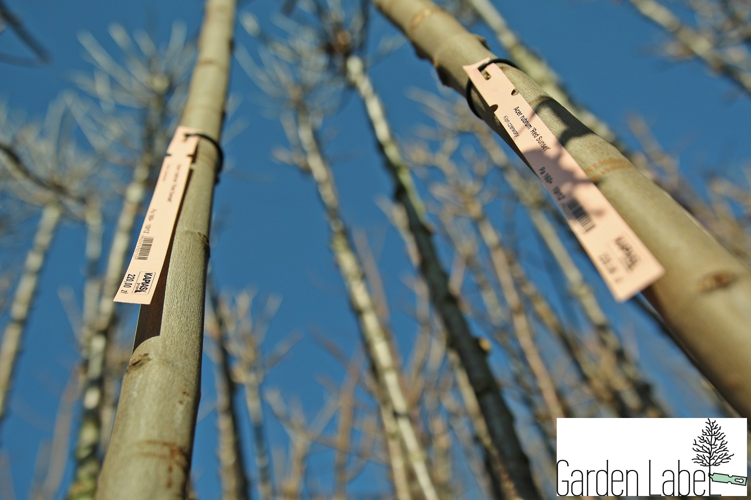 ee217d491c13991bf0cdeba02bf7f2f5