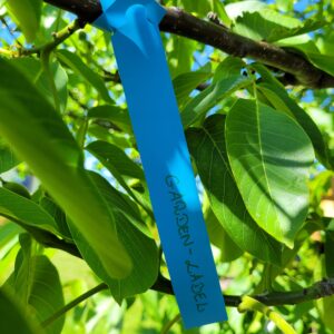 495228eecfe5649f1c1dc1c23d05a38f