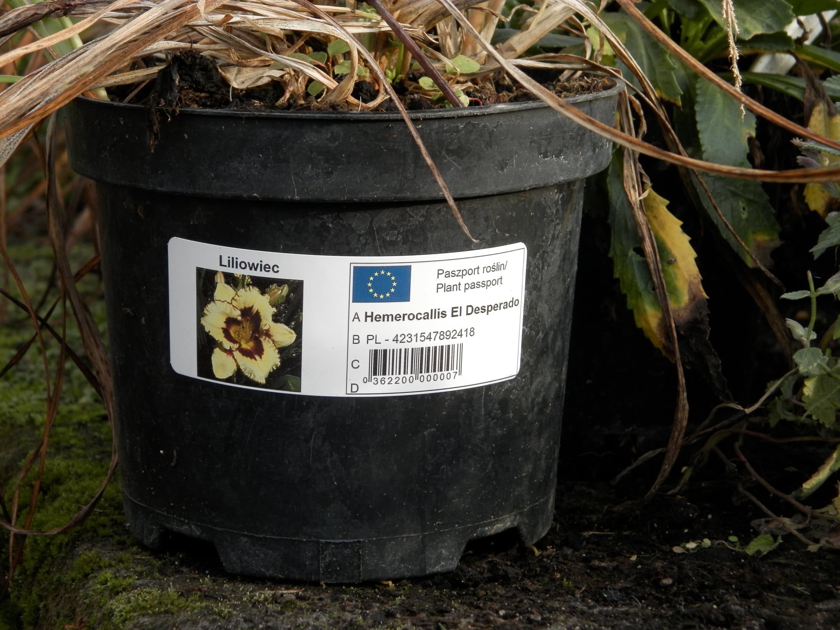 38f83eba86fadb493117a0412e7113fb