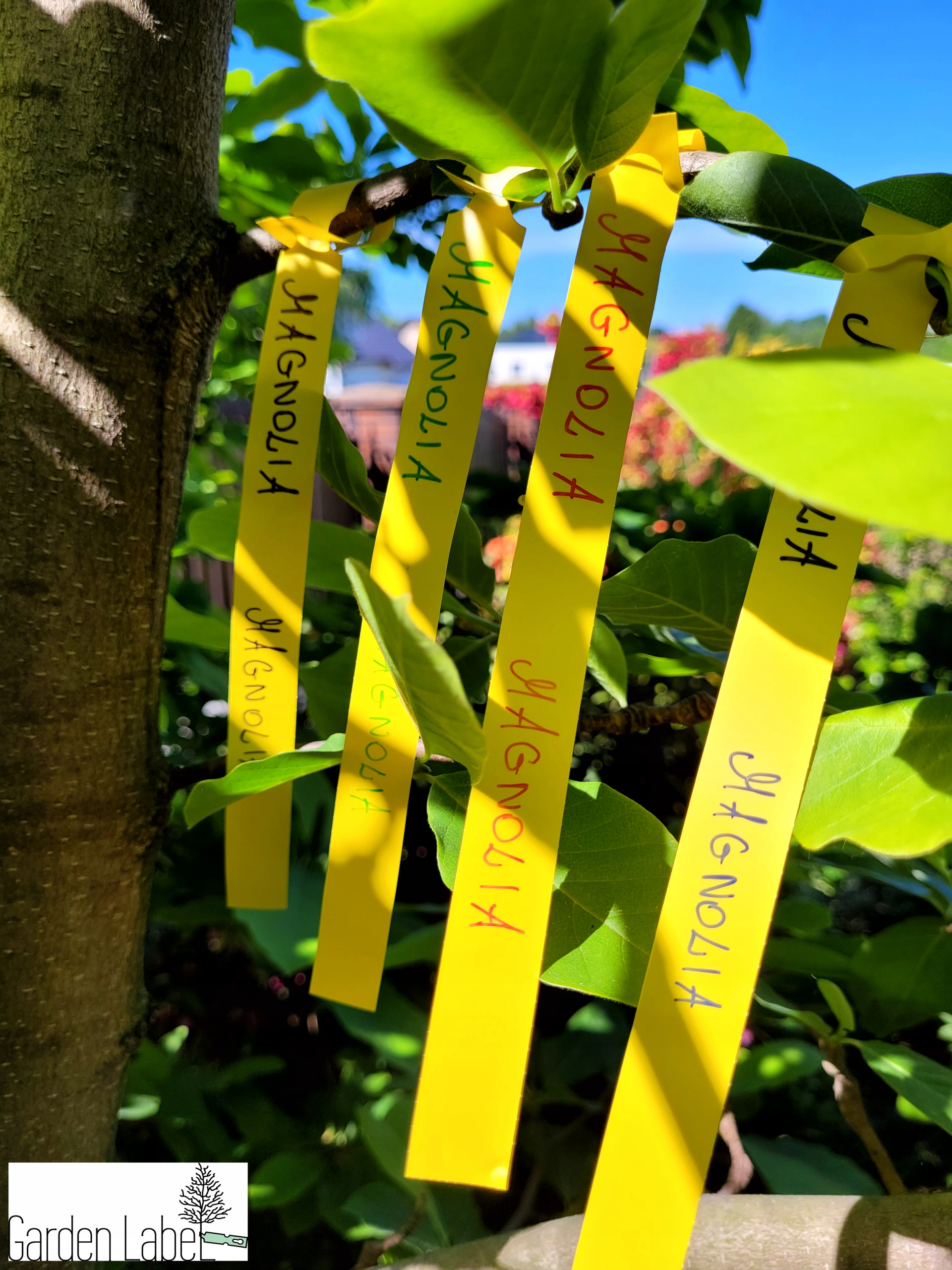 Etykiety ogrodnicze pętlowe ŻÓŁTE 250mm x 17mm - 100 sztuk do pisania - obrazek 3