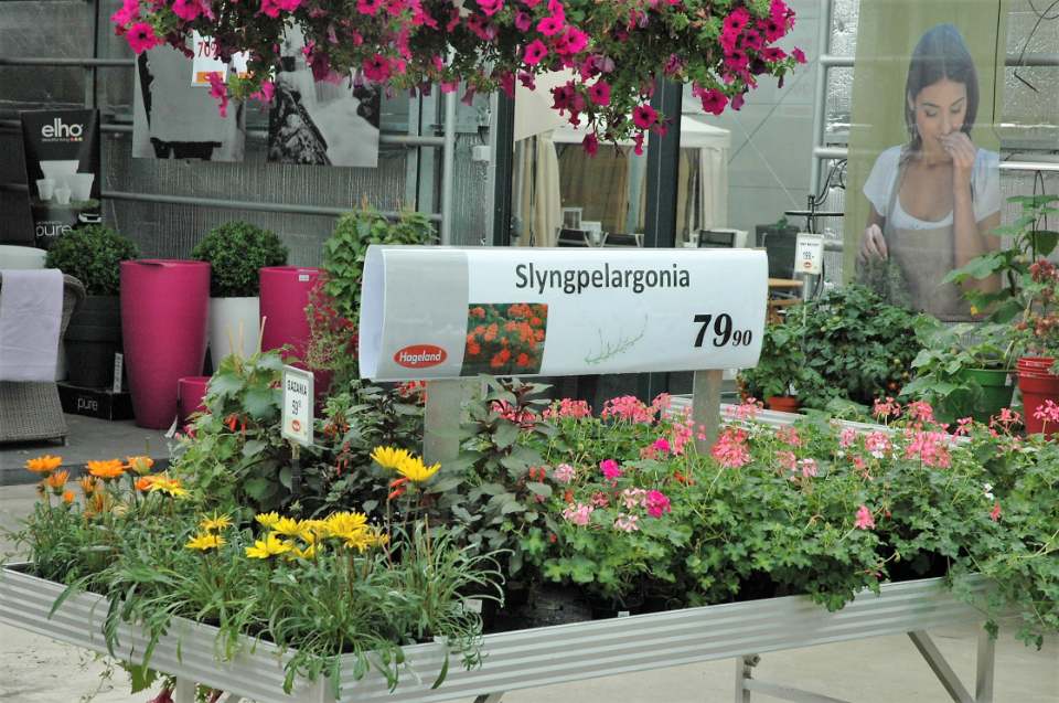 a9f8a98e1662ff85177cf3fc1d209b6d