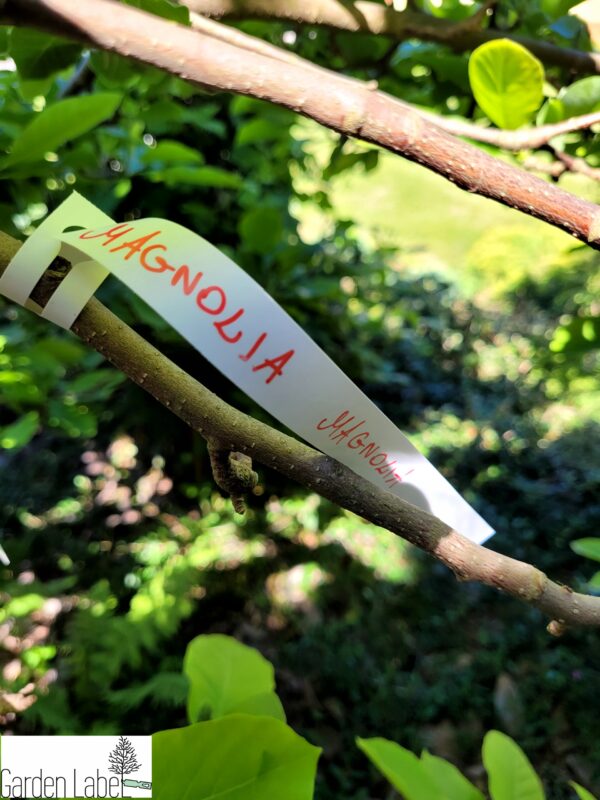 MARKER+4 KOLORY Etykiety ogrodnicze pętlowe do pisania 160x17mm(17x160) 400szt - obrazek 6