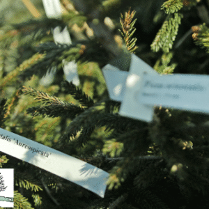 0a22be6ee969aa542236411786283c4e