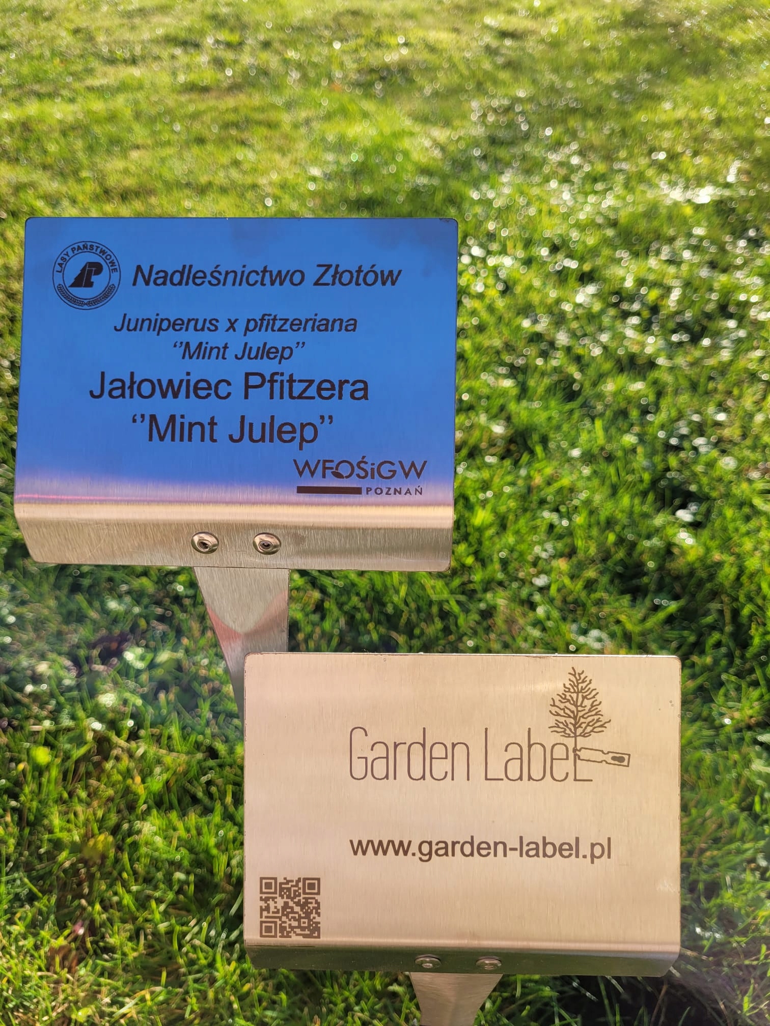 Elegancka tabliczka ogrodowa nierdzewna z grawerem, personalizowana 155x105 mm - obrazek 8