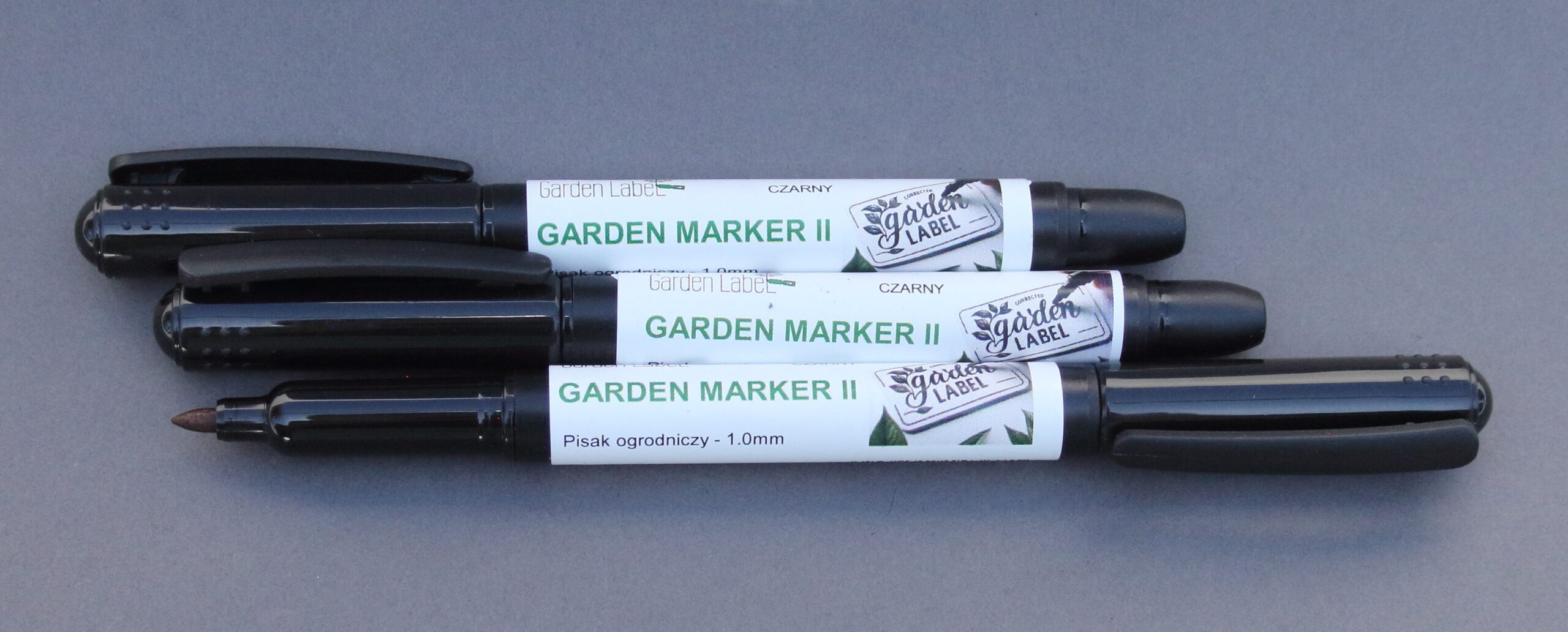 023015f8b079e779bc4c88e3b1137d47