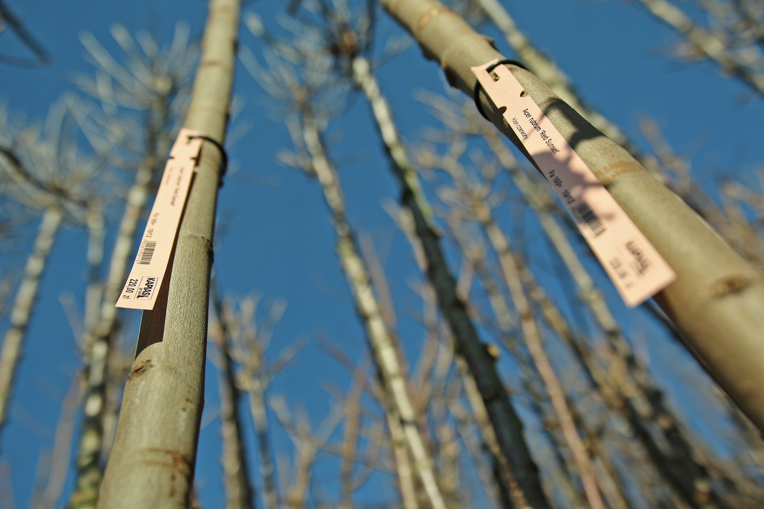 01c73b37a052db613febb2a86231fdb9