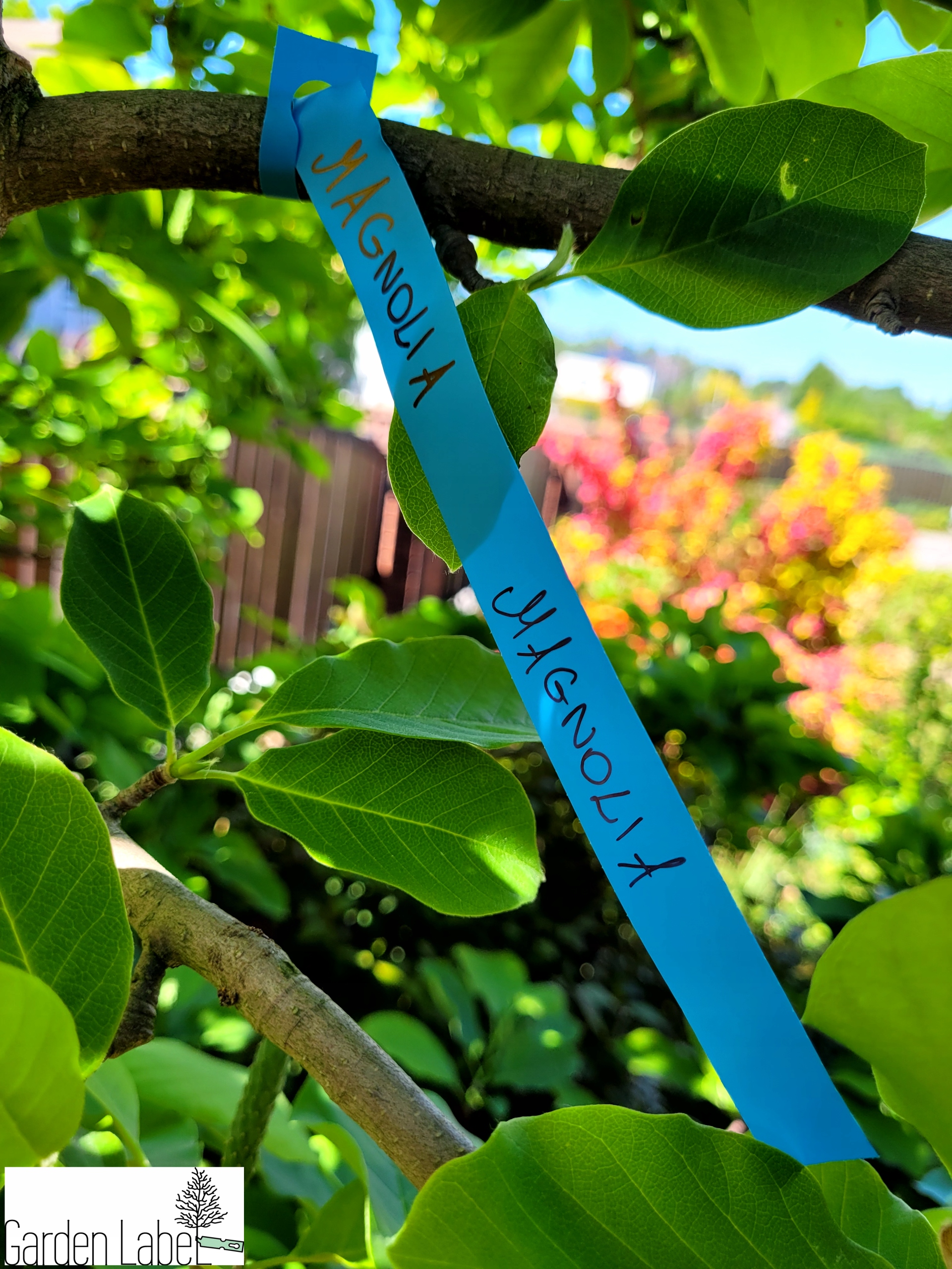 991769842f26e36647d830af2f552e4f