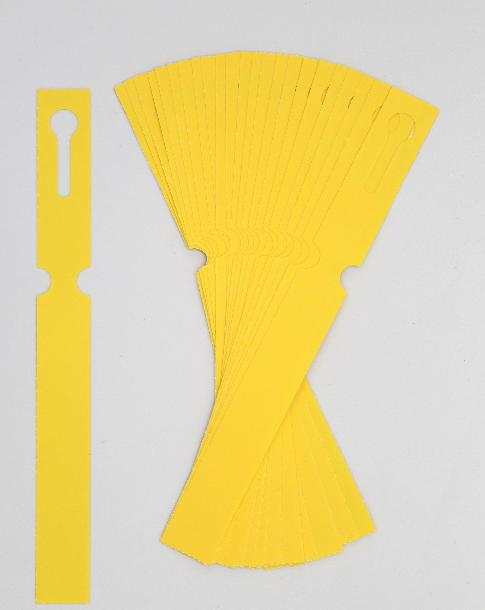 e66355412da1e797a8f8e246c2ce568b