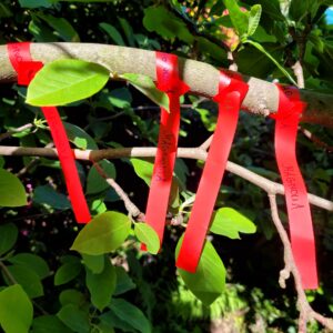 b13c5fdf1f1371b63024102ad9514158