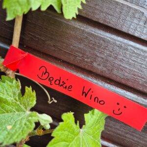 01229750b75facd23f3756a62568cb00