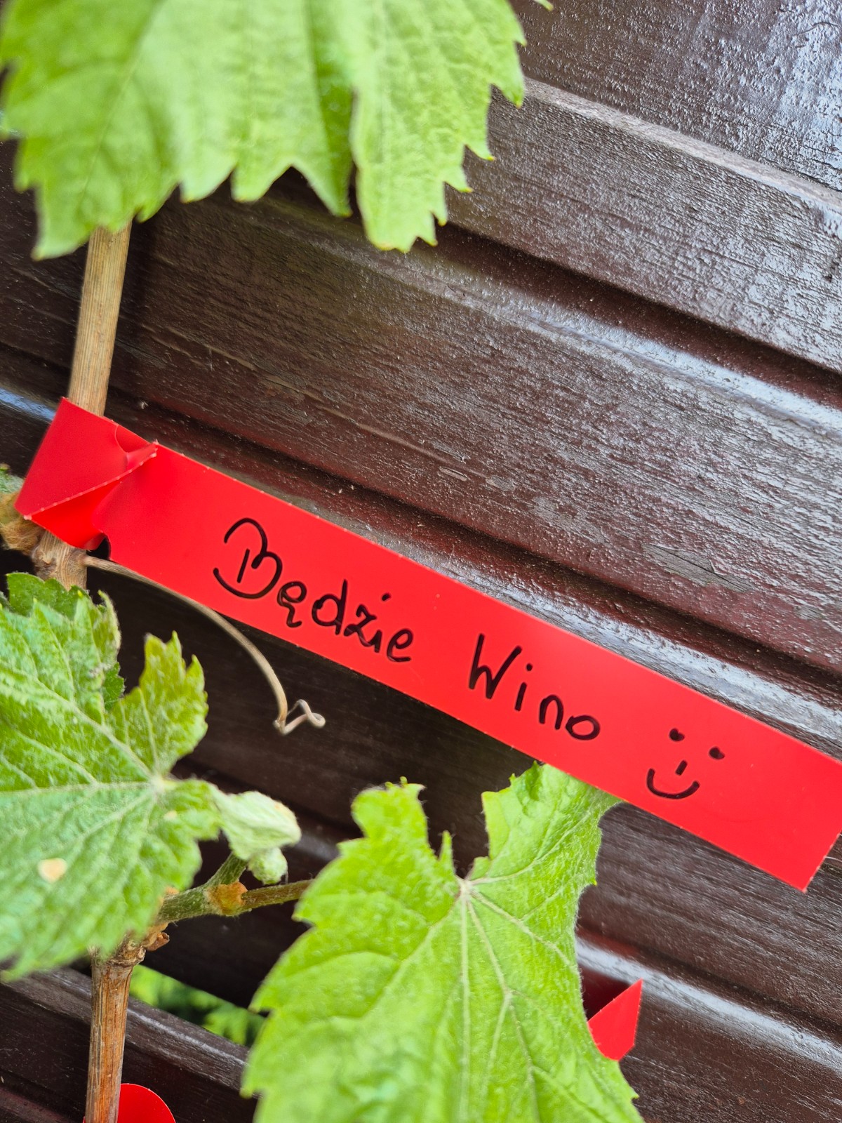 01229750b75facd23f3756a62568cb00