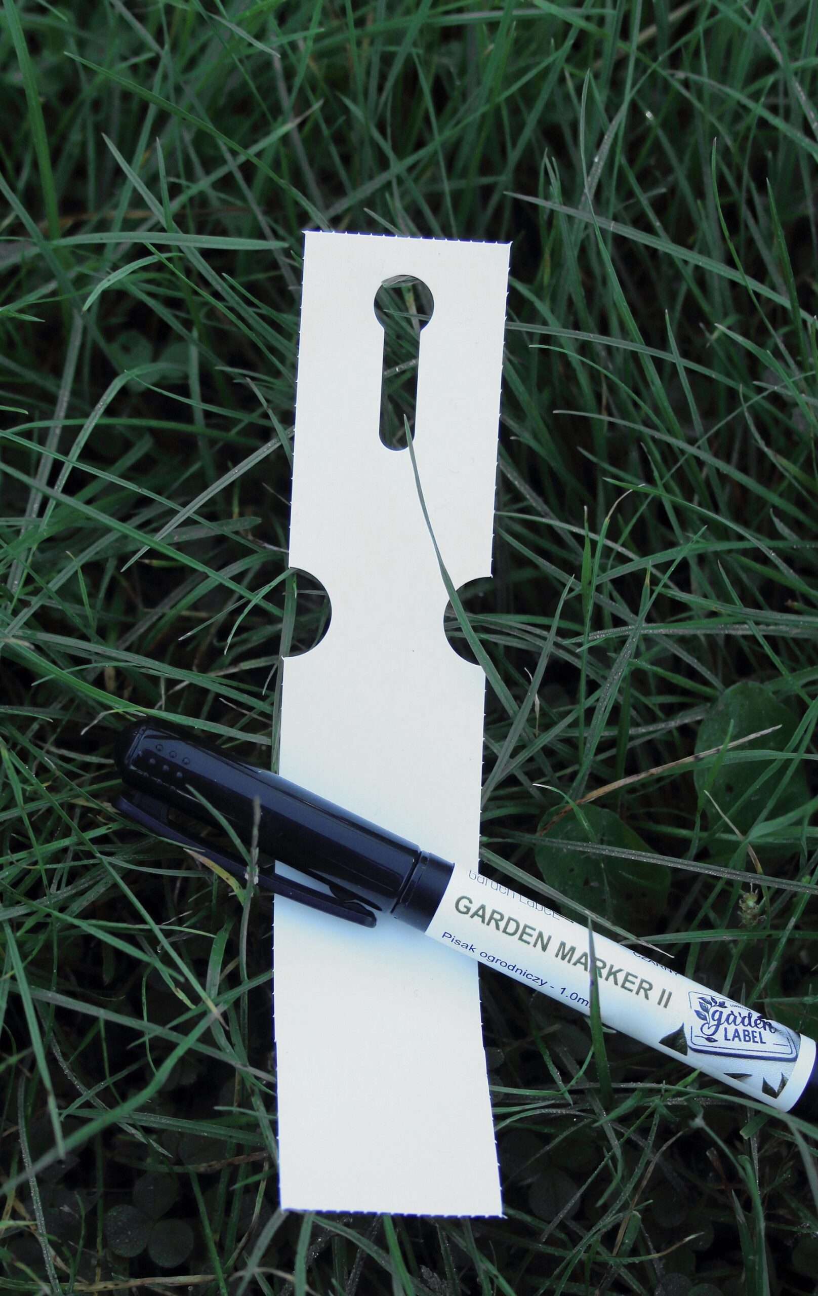 f3eac21c9c72af127fd44caa38384168