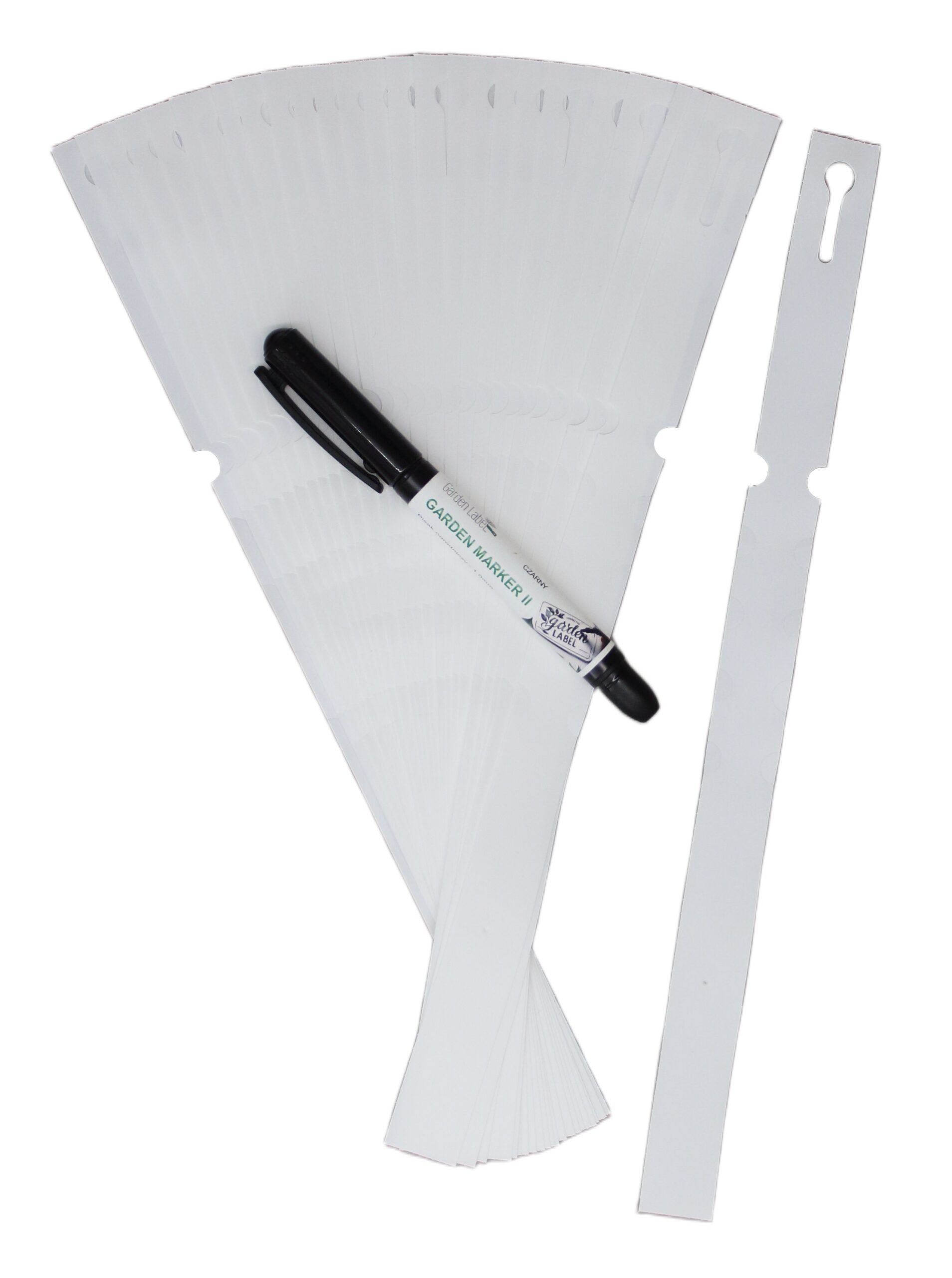 a0589cef4ba74b2b7a4ec6482e961761