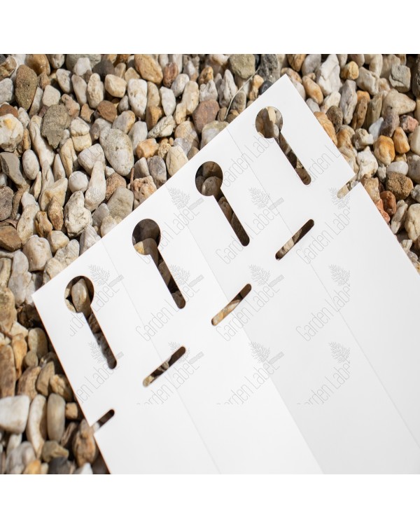 Etykieta pętlowa -Loop Label 25 x 250 mm (8) (D) (3027) FloraLabels - obrazek 4