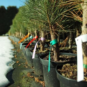 38d09cc16aaf5dd22ffa744b04f0d2b1