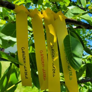 96776746f3f9281fc7738b8498963dc9