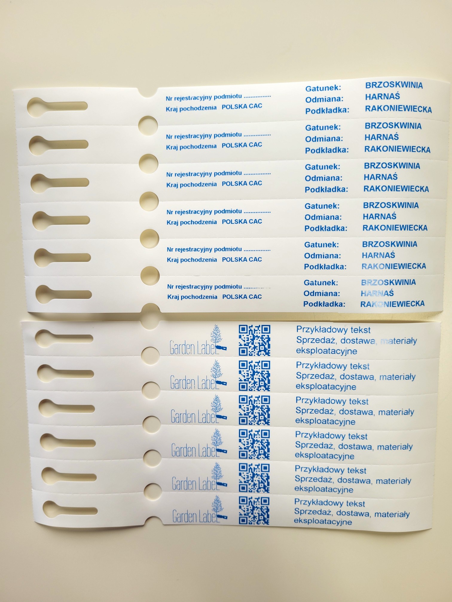 e542993fcc4b242eb402bd46225daa4c