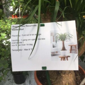 Etykiety prezentacyjne - Sign A4 210 x 297 mm (1) (D) A4 sheets (4013) FloraLabels