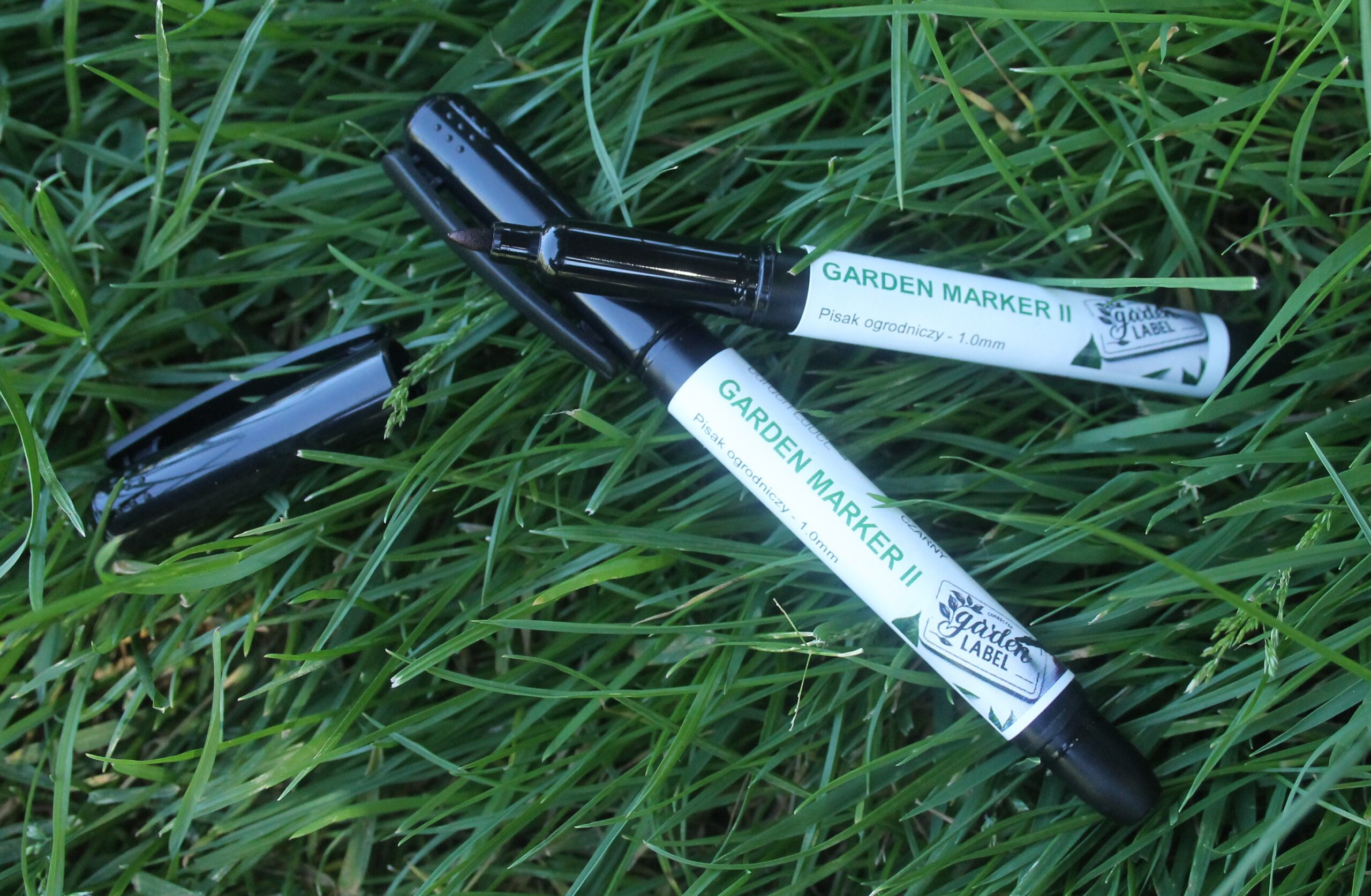 8393bfce612023b3574b57fc2f899954